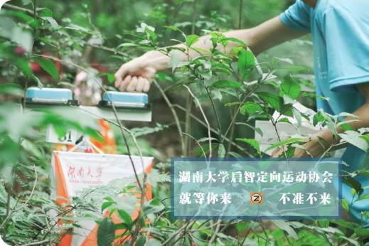 好博体育